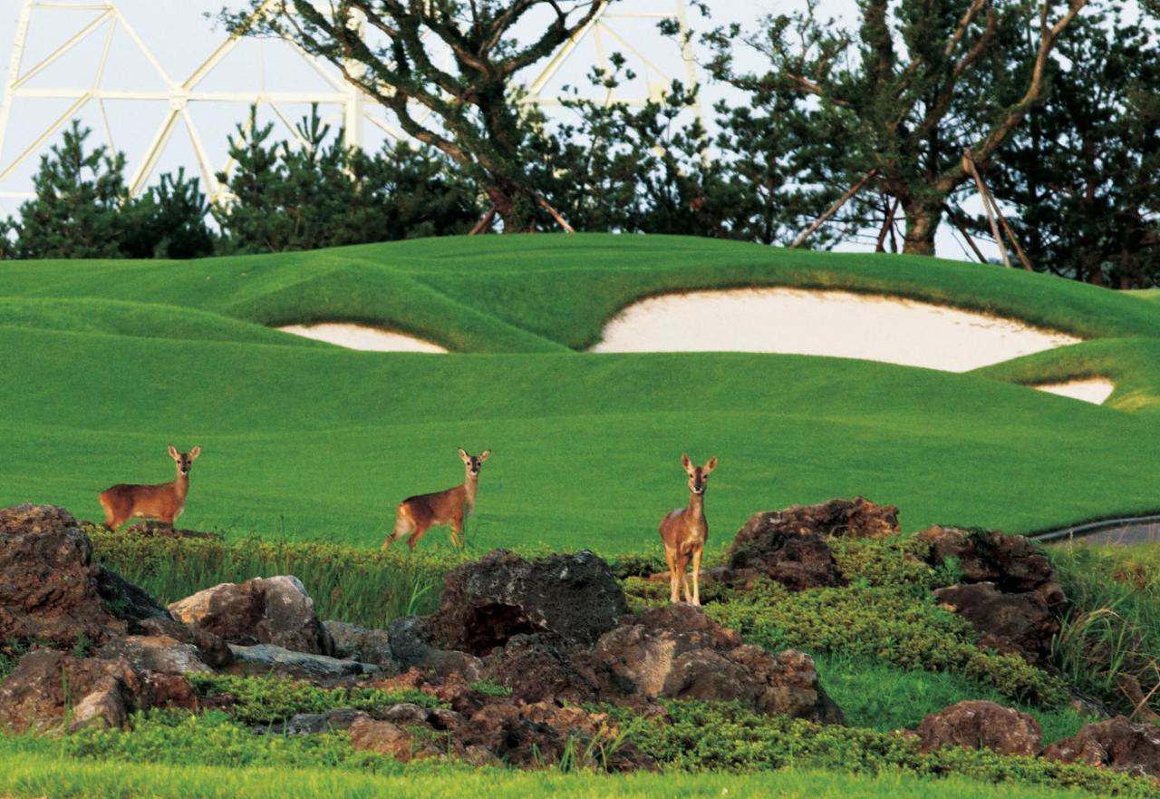 ArdenHill Resort&Golf Jeju Exterior foto